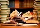 Правильное написание НЕ и НИ: примеры, правила, разъяснения 
